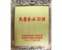 2011年度民营企业50强