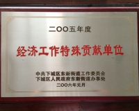 2005年度经济工作特殊单位